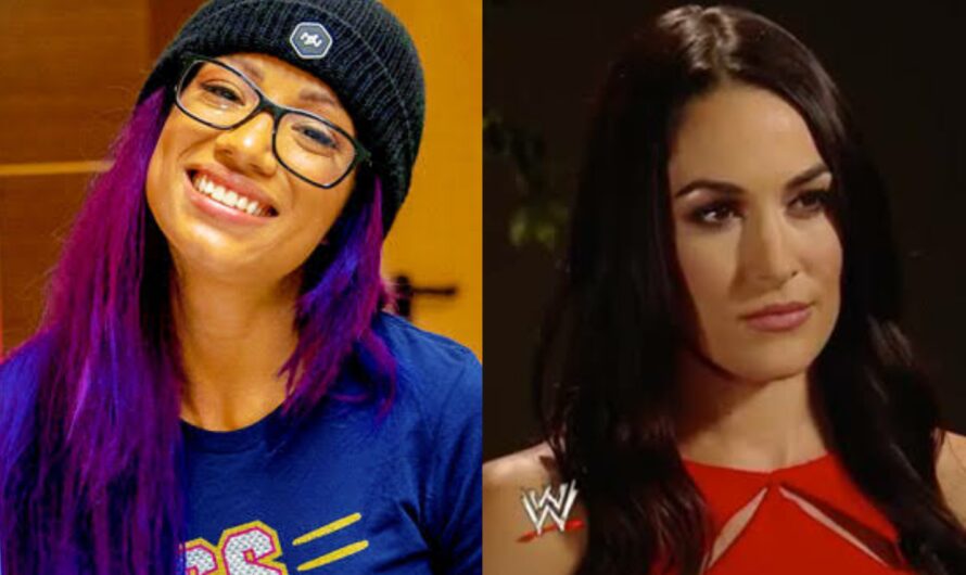 Sasha Banks and Brie Bella to go head-to-head in a USA network show