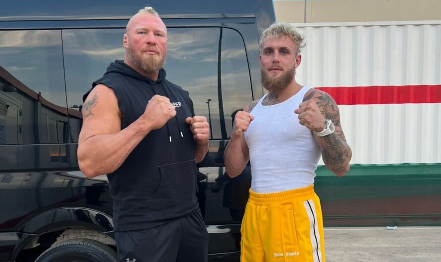 Brock Lesnar Praises Paul brothers