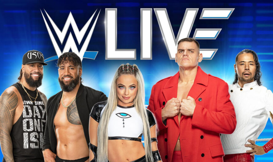 WWE Live Event Geneva results 11/2