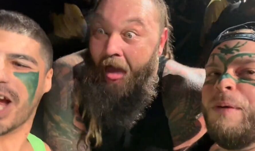 Bray Wyatt Suffers Minor Injury during WWE House show at Miami