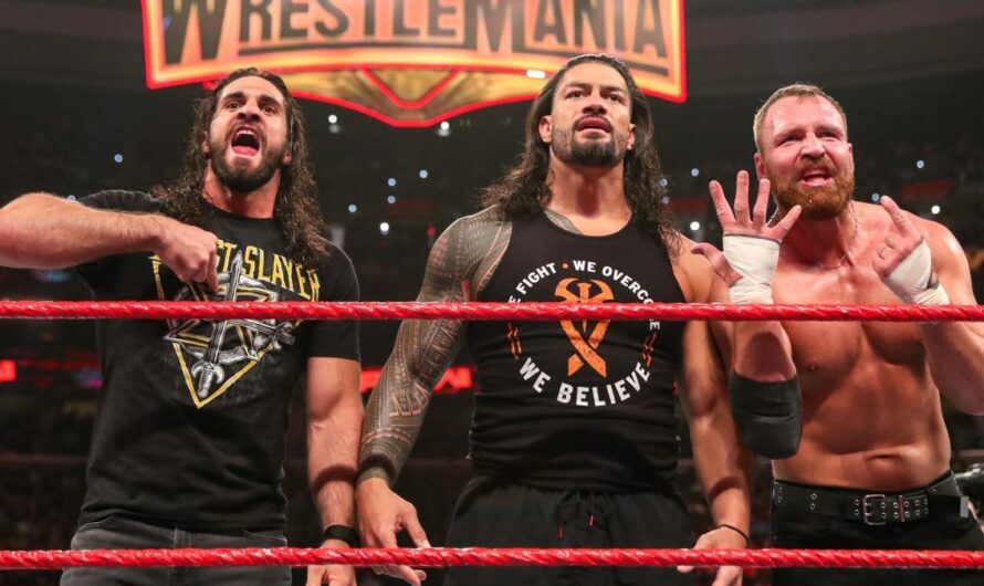 Seth Rollin: “We were all using the Shield as a catalyst to take over the industry.”