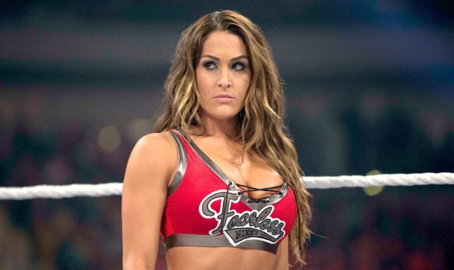 WWE Star wants to have a tag team run with Nikki Bella