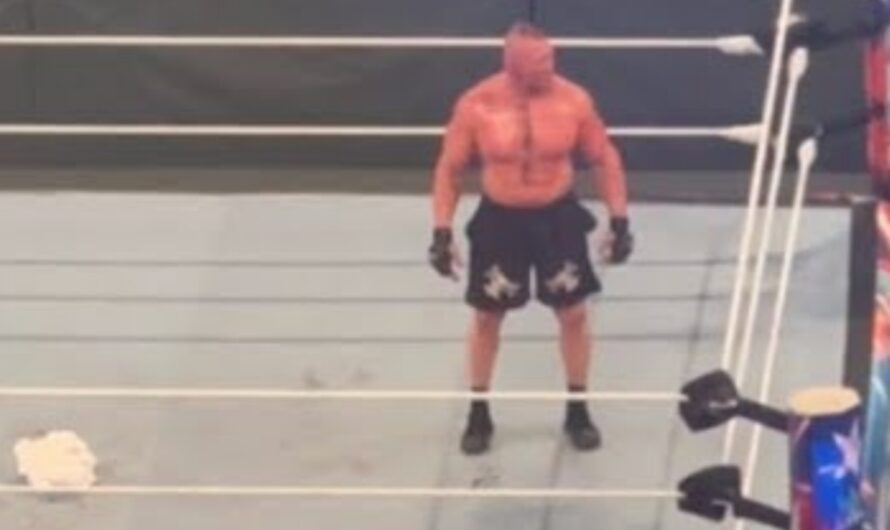 What happened with Brock Lesnar after WWE Backlash 2023