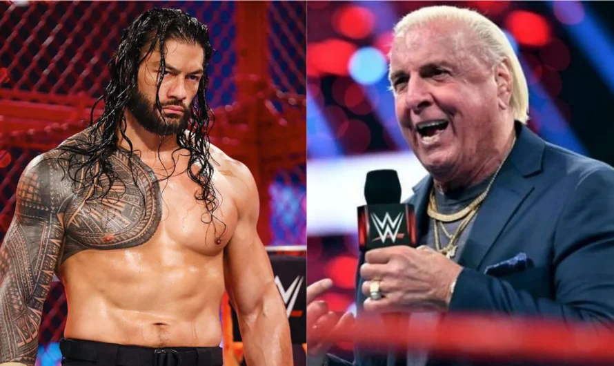 Ric Flair takes a shot at Roman Reigns